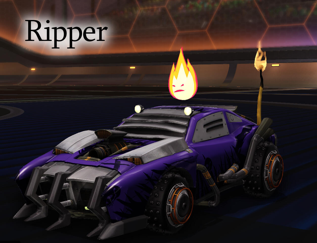 Profile picture of DI with her purple hair and favorite grey plaid flannel over a purple t-shirt.